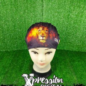 Leones del Caracas Beisbol Profesional 1